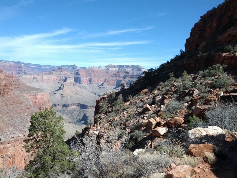 IMG_20130314_105534.jpg